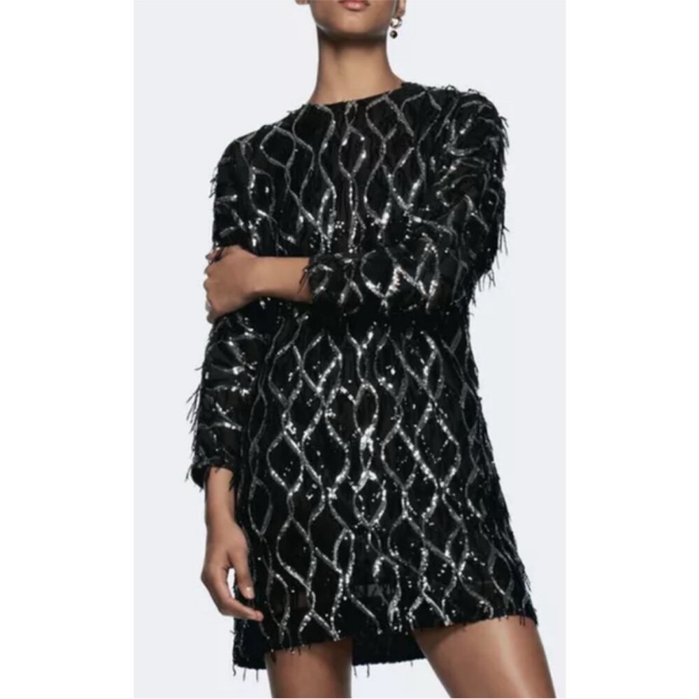 Nwt-Zara- SEQUIN FRINGED MINI DRESS - Picture 2 of 15